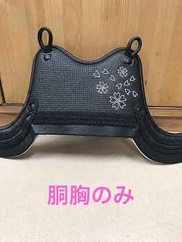 剣道　胴胸のみ 71TsG+vpCqL._UF350,350_QL50_.jpg